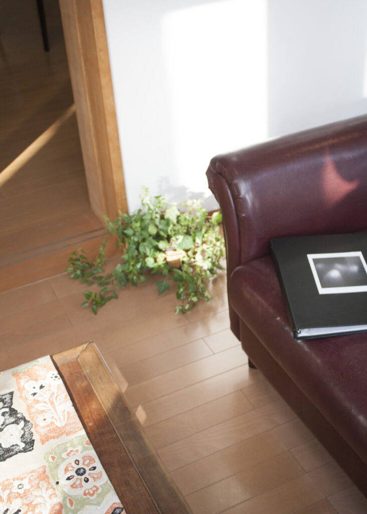 国立市カフェ発酵食、二時、SPレコード鑑賞会